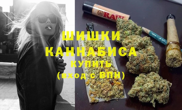 прущие грибы Белоозёрский