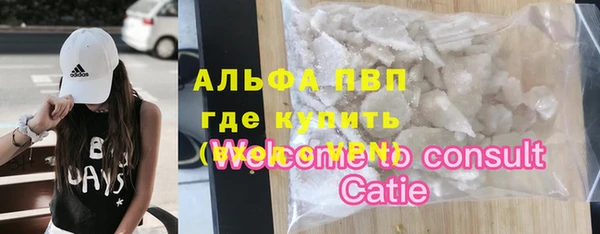 прущие грибы Белоозёрский