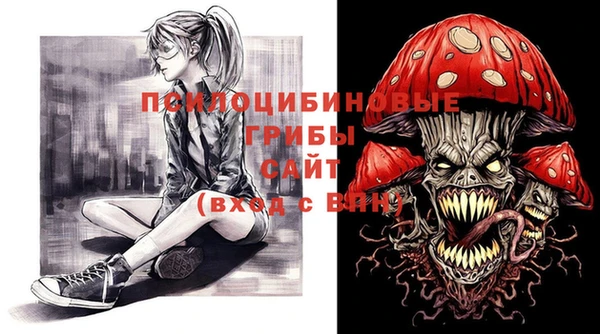 PSILOCYBIN Беломорск