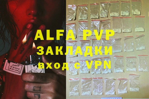 твердый Богданович