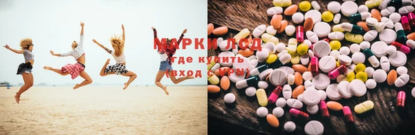 PSILOCYBIN Беломорск