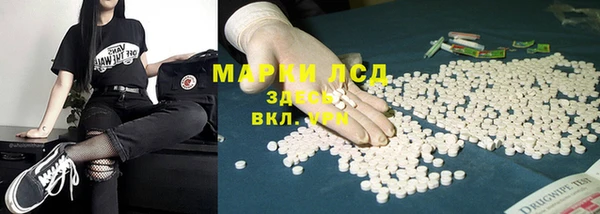 PSILOCYBIN Беломорск